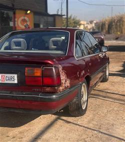 ئۆپڵ سيناتۆر